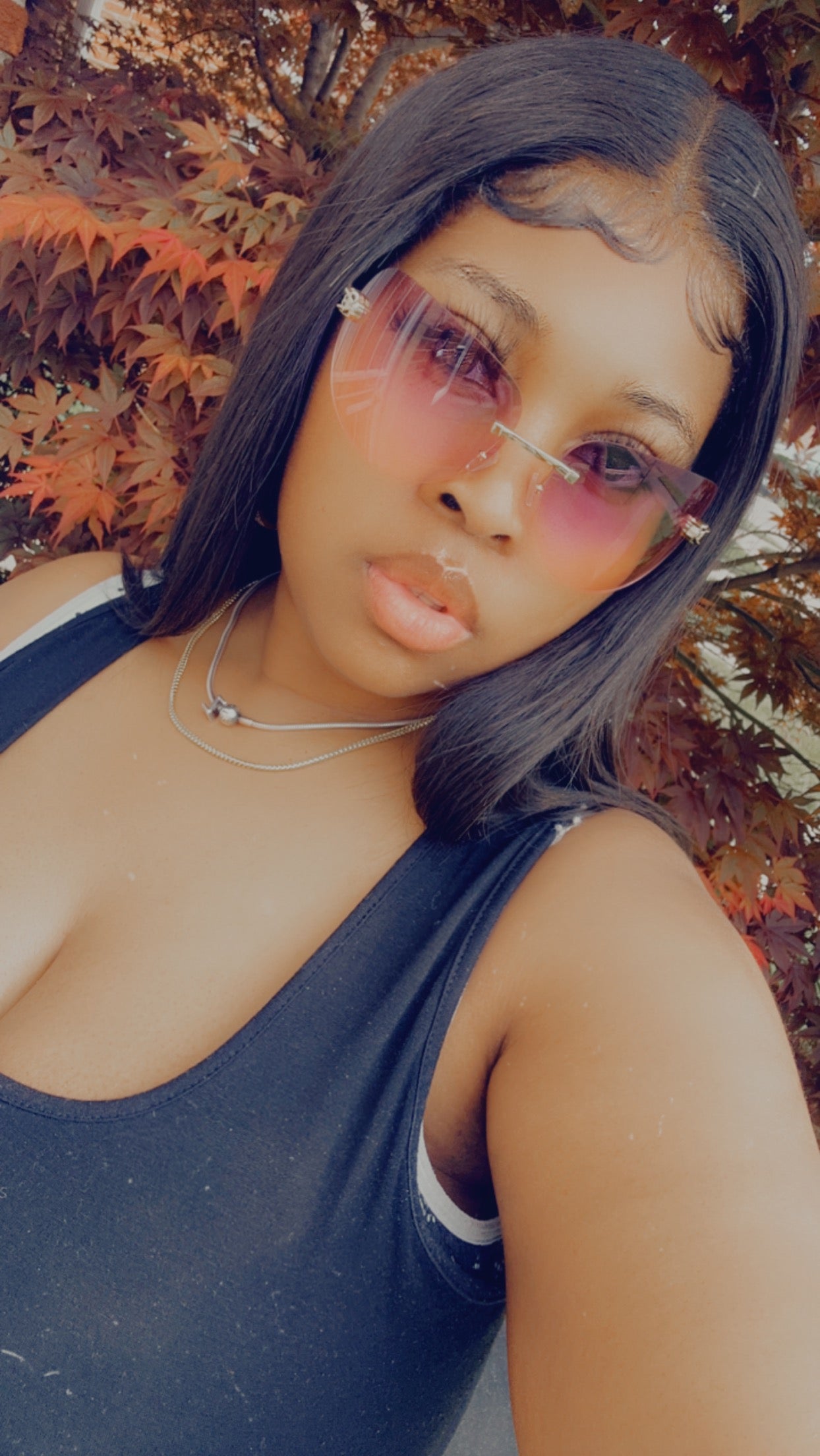 Curved Shades SHADES BY PAIGE